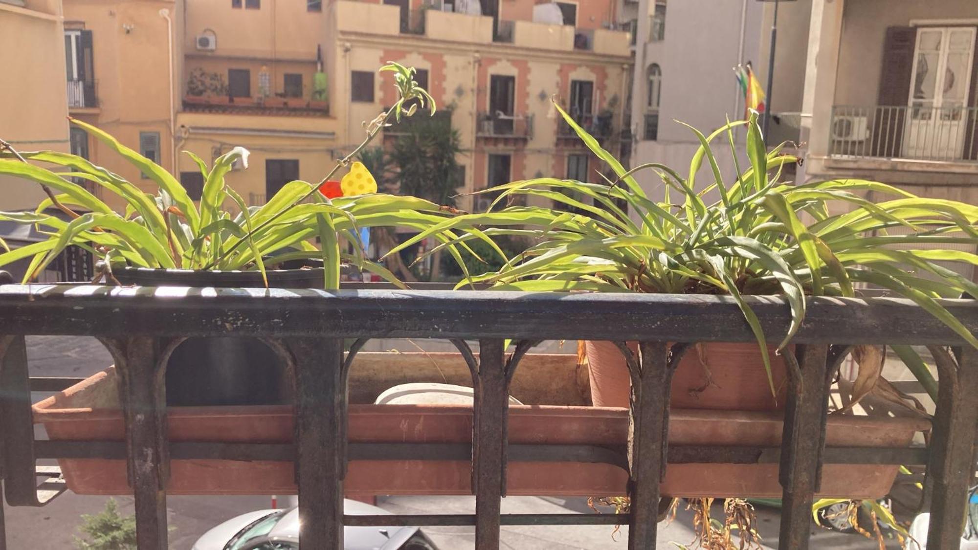 شقة Casa Empedocle باليرمو المظهر الخارجي الصورة